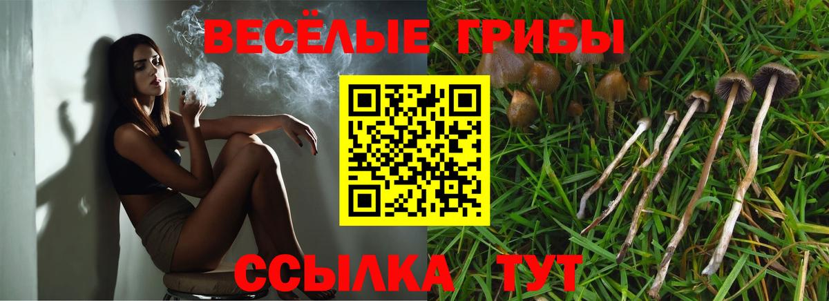 Казань  Псилоцибиновые грибы прущие грибы  Галлюциногенные грибы прущие грибы  Вход с VPN 